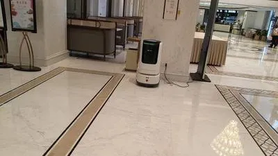 guest photo