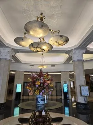 guest photo