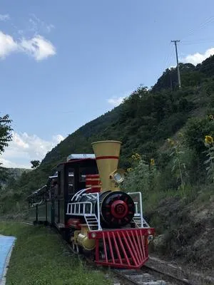 guest photo