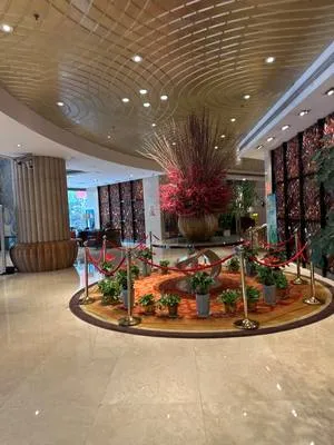 guest photo