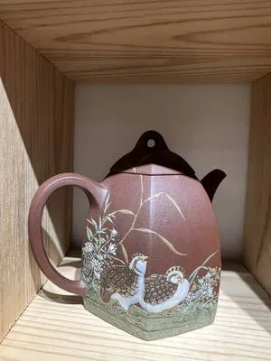 guest photo