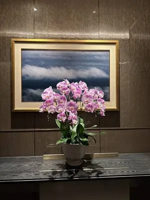 guest photo