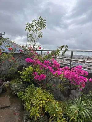 guest photo