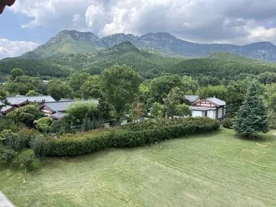 guest photo