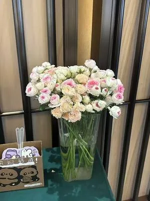 guest photo