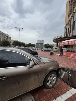 guest photo