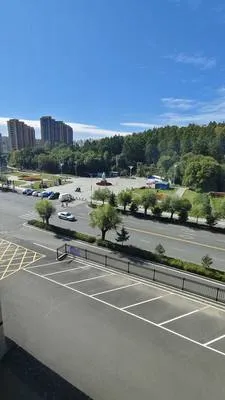 guest photo