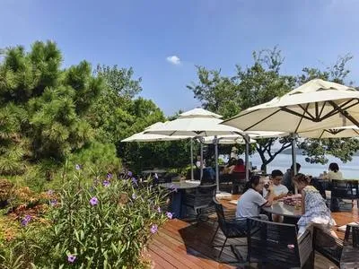 guest photo