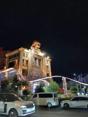 guest photo