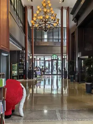 guest photo