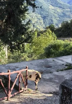 guest photo