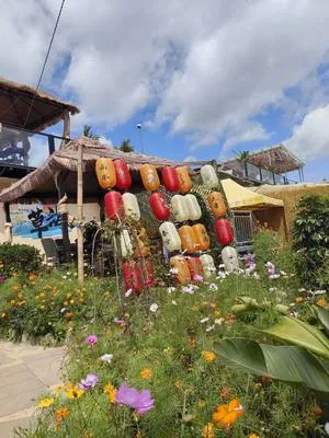 guest photo