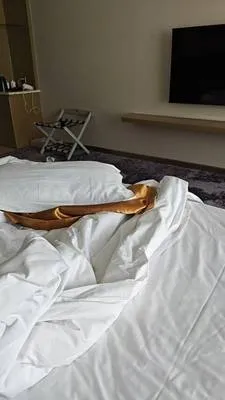 guest photo