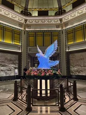 guest photo