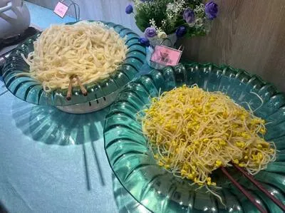 guest photo