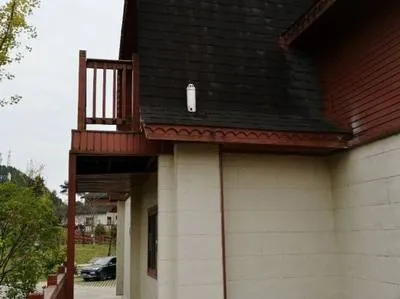 guest photo
