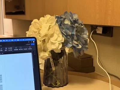 guest photo