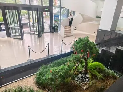 guest photo