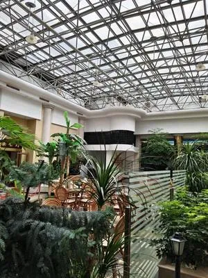 guest photo