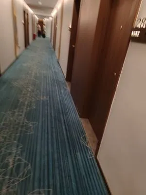 guest photo