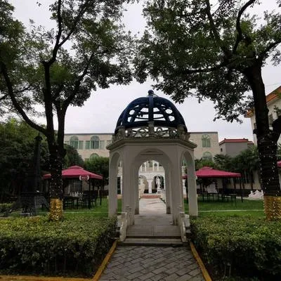 guest photo