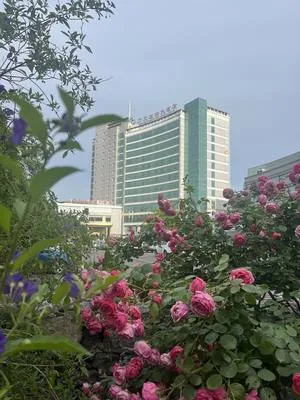 guest photo