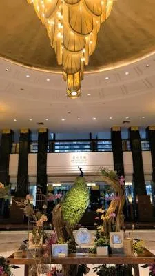 guest photo