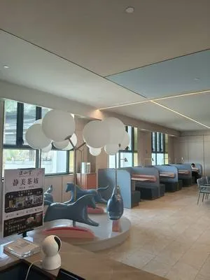 guest photo