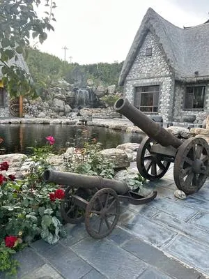 guest photo