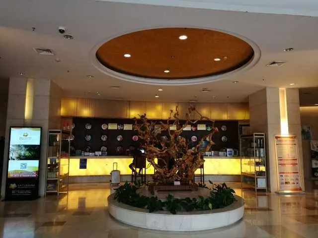 Panzhihua Anning Mingzhu Grand Hotel
