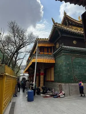 guest photo
