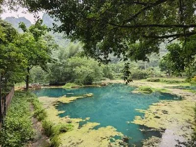 guest photo