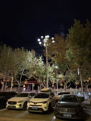 guest photo