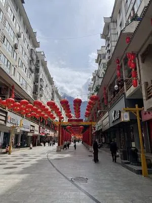 guest photo