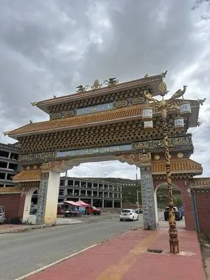 guest photo