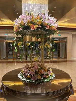 guest photo