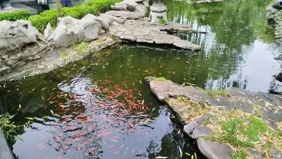 guest photo