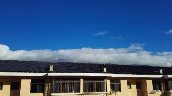 Jiangxi Hongan Lvyou Kaifa Jingan Jiangwu