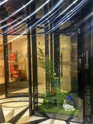 guest photo