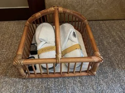 guest photo