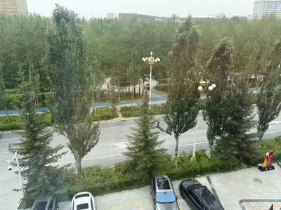 guest photo