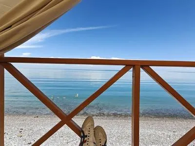 guest photo