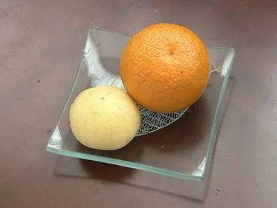 guest photo