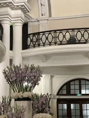 guest photo