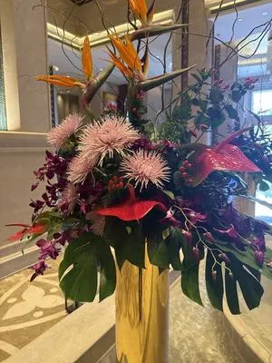 guest photo