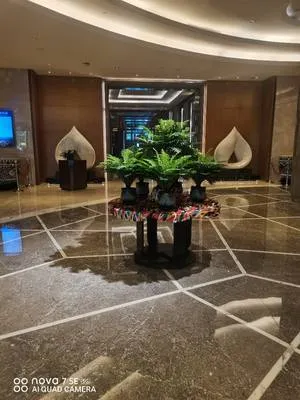 guest photo