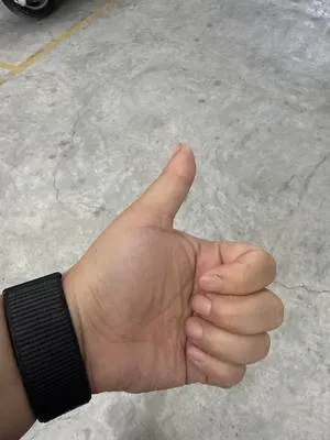 guest photo
