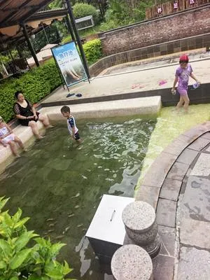 guest photo