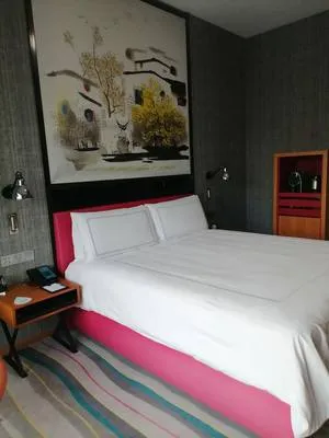 guest photo