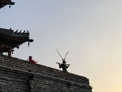 guest photo